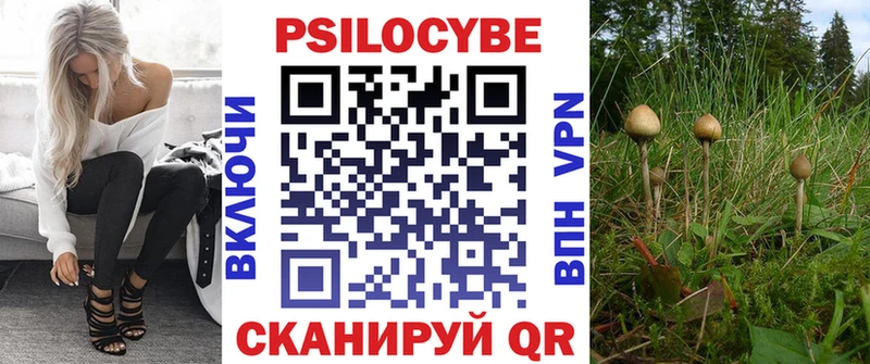 Псилоцибиновые грибы Cubensis  Купить закладки  Новоаннинский 